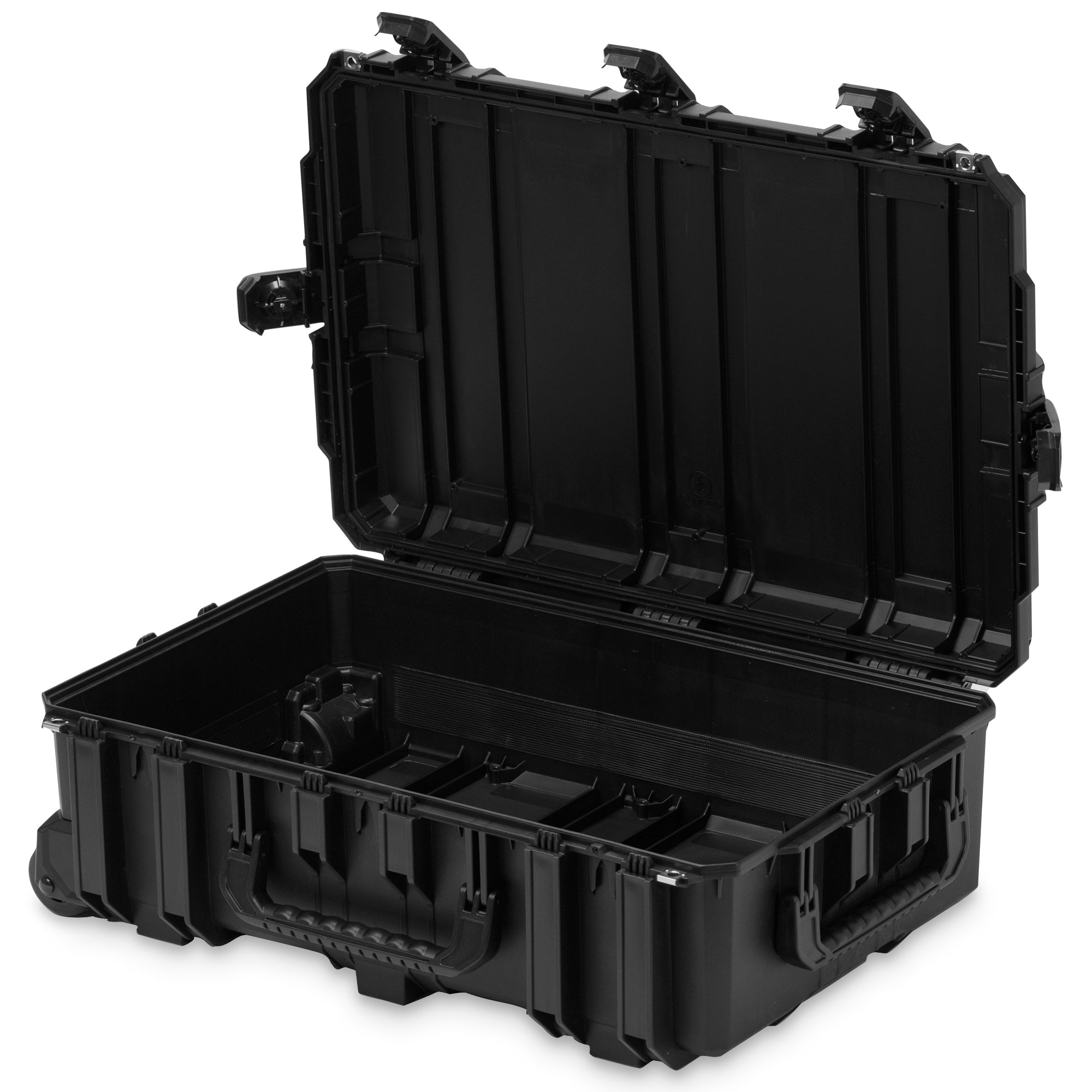 New Seahorse Arrivals Cases – Official